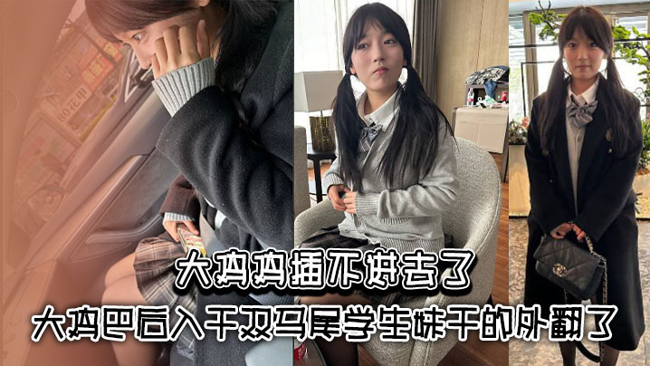 大鸡鸡插不进去了_大鸡巴后入干双马尾学生妹干的外翻了}